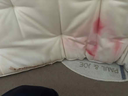Photo of free IKEA futon mattress (BR3) #3