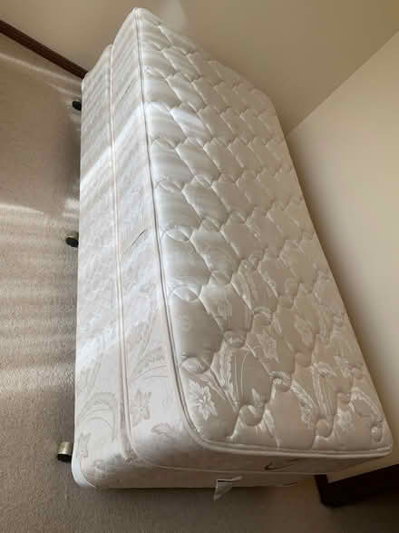 Photo of free Single bed (West Pennant Hills/Range Road) #1