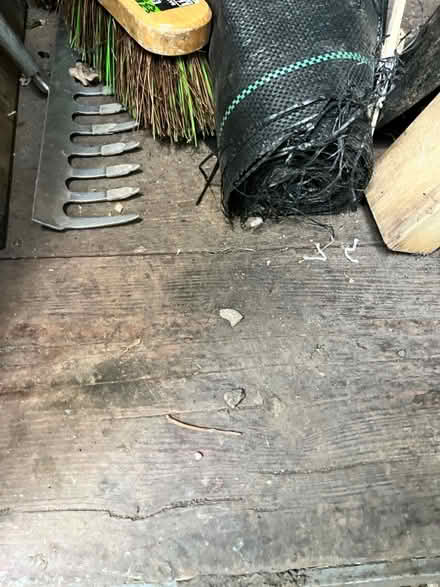 Photo of free Shed (Bath BA1) #4