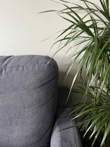 Photo of free Two-seater grey fabric sofa (SE14 new cross) #2