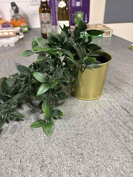 Photo of free Fake plant (Leeds LS2) #1