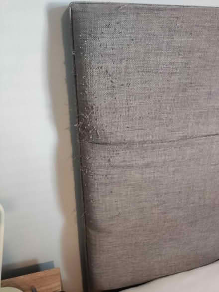 Photo of free Head board for double bed (Walkden M28) #2