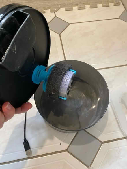 Photo of free Cat drinking fountain (RG2) #2