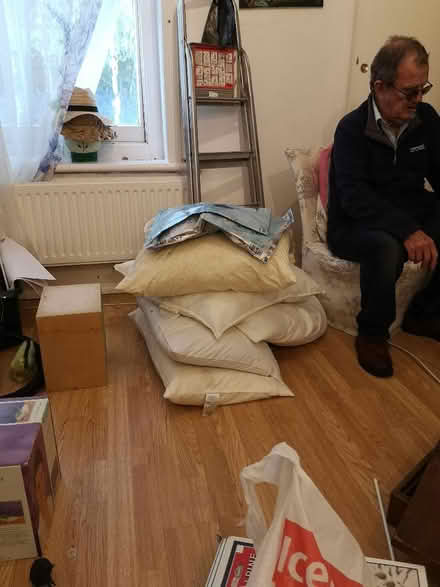 Photo of free Pillows (Southwick BN42) #1