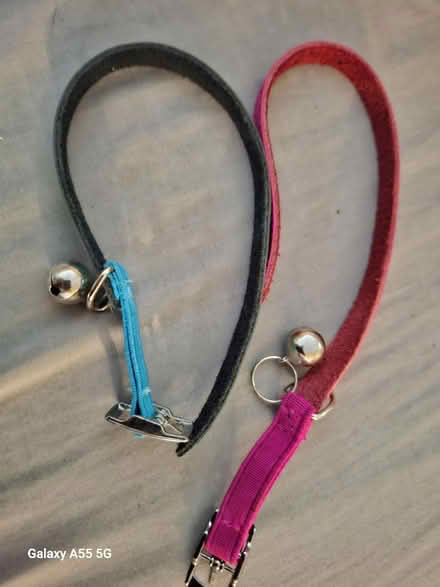 Photo of free 2 cat collars (Hanworth TW13) #1