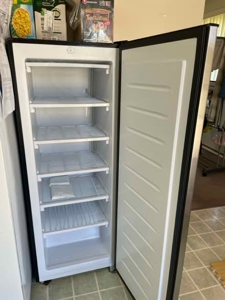 Photo of free Upright Freezer + Area Rug (El Cerrito) #2