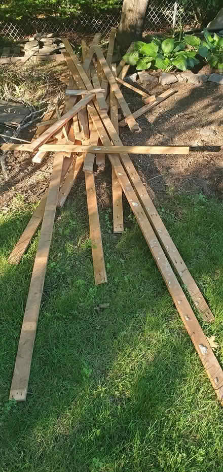 Photo of free 1x3 wood, several feet (Westford, Nabnasset area.) #1