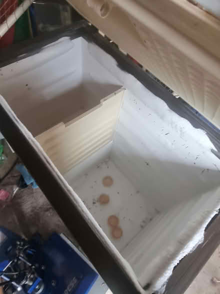 Photo of free Chest Freezer (Leominster) #2