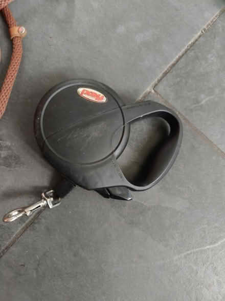 Photo of free Dog leads etc seat cover (BD10) #2