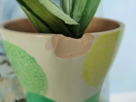 Photo of free Artificial Plants Pair (Brandwood End B14) #3
