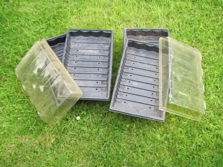 Photo of free Seed trays (Cambuskenneth FK9) #1