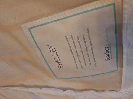 Photo of free Single bed with or without mattress (Weybridge) #3