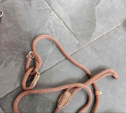 Photo of free Dog leads etc seat cover (BD10) #4