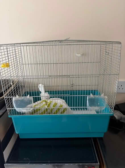 Photo of free Budgie cage (Dyson perrins -wR14) #1