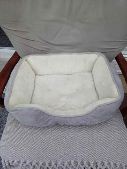 Photo of free Pet bed (Horsham, near Bennetts Field) #1