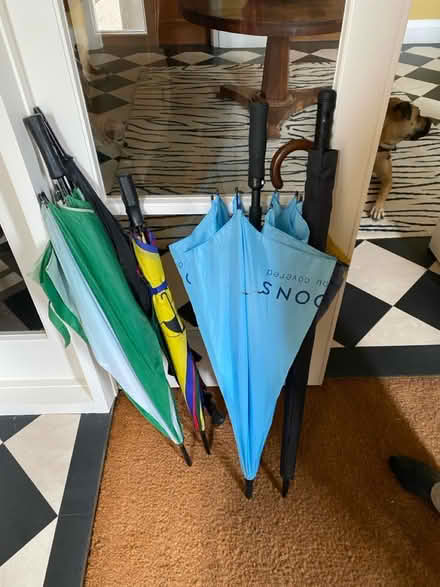 Photo of free Large umbrellas (Colchester 3 miles. CO6) #1