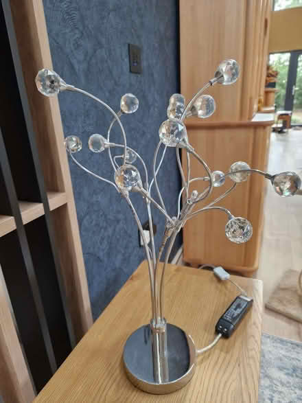 Photo of free Pretty table lamp (Datchworth SG3) #1