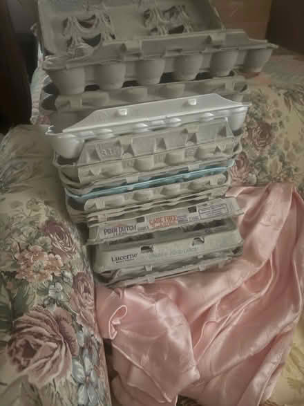 Photo of free Egg cartons (Ft hunt belleview) #1