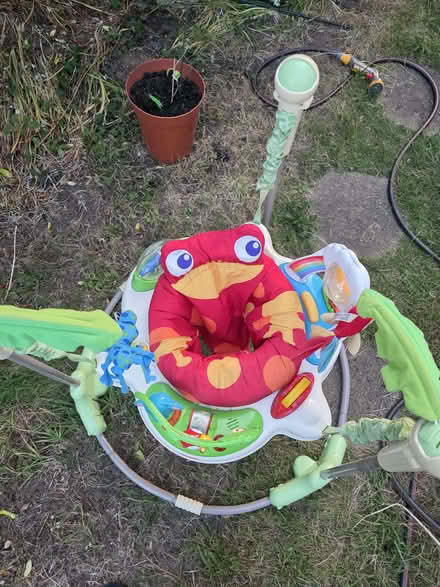 Photo of free Baby bouncer (Kidlington OX5) #1