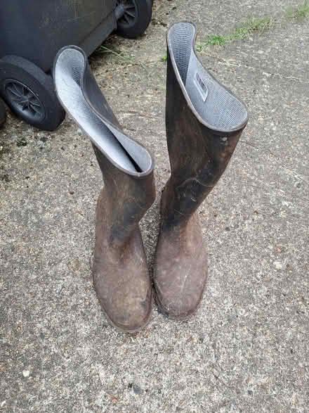 Photo of free Wellies size 12 (High Town LU2) #1