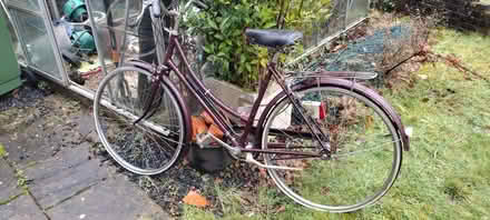Photo of free Bikes for repair or parts (Pyrford GU22) #1