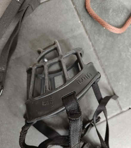 Photo of free Dog leads etc seat cover (BD10) #3