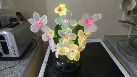Photo of free Lamp (Ainsdale PR8) #2