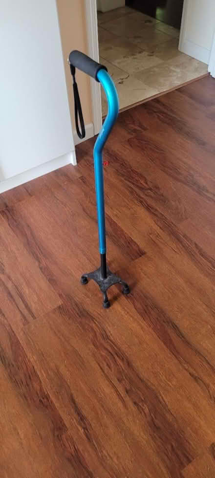 Photo of free Cane (Amenia NY) #1
