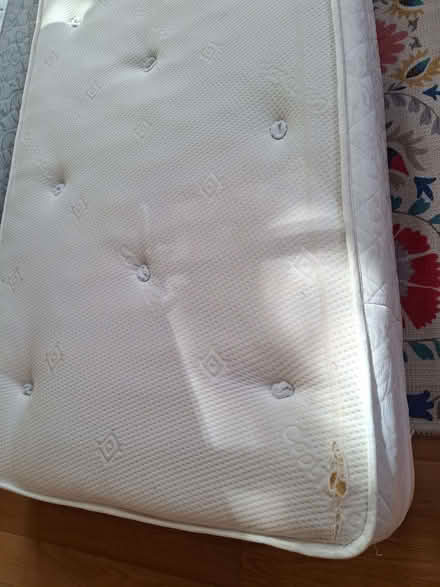 Photo of free 2 x single mattresses (Dolau LD1) #2