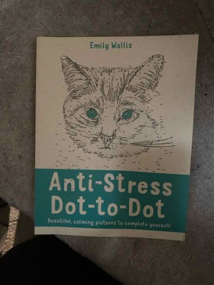 Photo of free Dot to dot book (RG2) #1