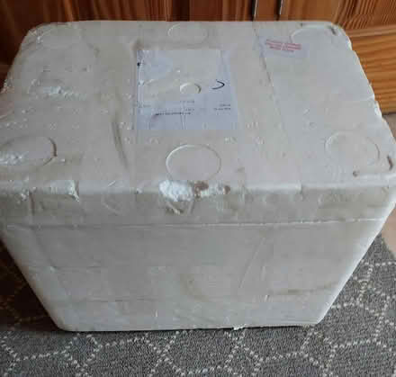 Photo of free Polystyrene cool box (Burnham SL1) #1