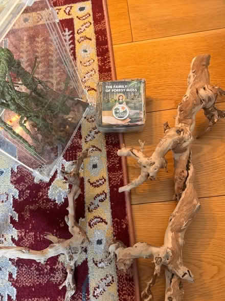 Photo of free Insect/plant terrarium, moss, wooden sticks (Sloane Square SW1W) #3