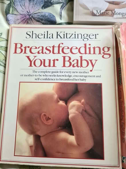 Photo of free Books and CDs for new/expectant parents (Alexandra Park M16) #1