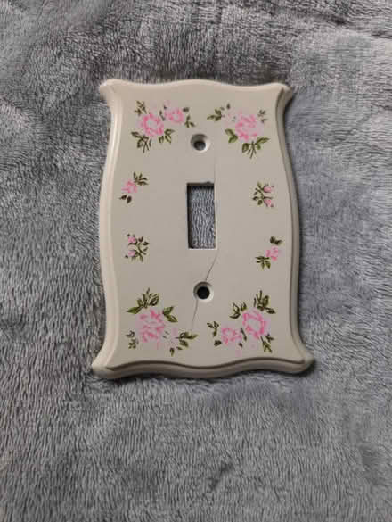 Photo of free Flower light switch cover plate (Carling) #1