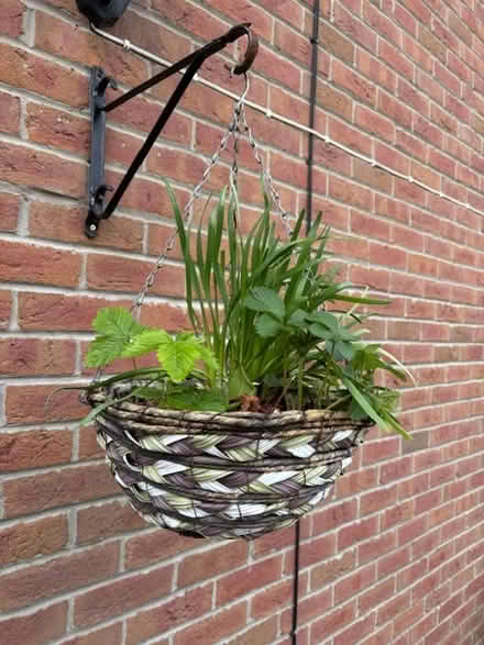 Photo of free Empty Hanging Basket (Macclesfield SK10) #1