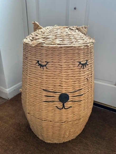Photo of free Cat laundry basket (Codicote SG4) #1