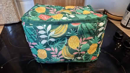 Photo of free Tropical fruit Insulated lunch bag/ cooler (Broomridge FK7) #2