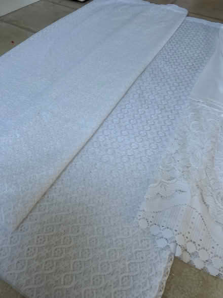 Photo of free Net curtains (Dolwyd LL31) #1