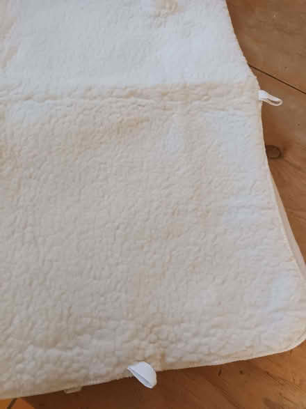 Photo of free fleecy blanket for pet (Old Road OX3) #1