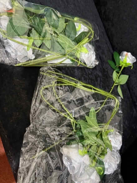 Photo of free Flowers (Birmingham B6) #1