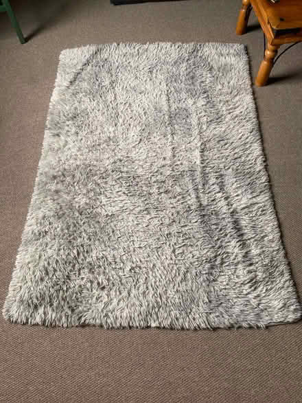 Photo of free Rug (Dalston E8) #1
