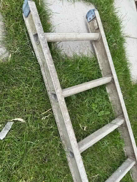 Photo of free Ladder approx 2.94m (Welling DA16) #2
