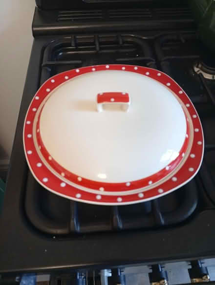 Photo of free Midwinter Polkadot Tureen (Buxworth SK23) #1