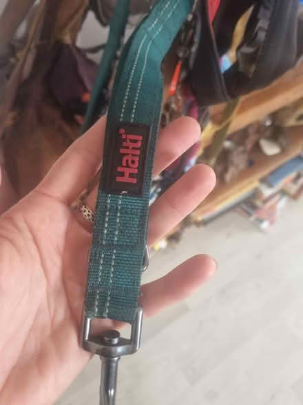 Photo of free Halti lead (BN3) #1