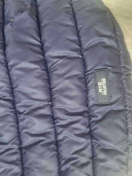 Photo of free Dog jacket (BN3) #3