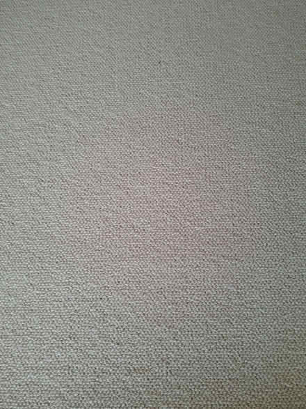 Photo of free Wool carpet (Cheltenham) #2