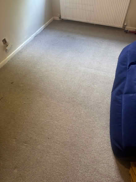 Photo of free Bedroom carpet (Sheffield S8 woodseats) #1