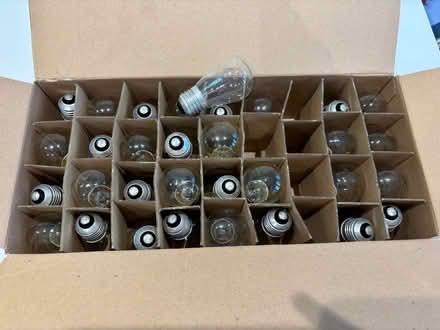 Photo of free Bulbs for outdoor lights (Bray SL6) #1