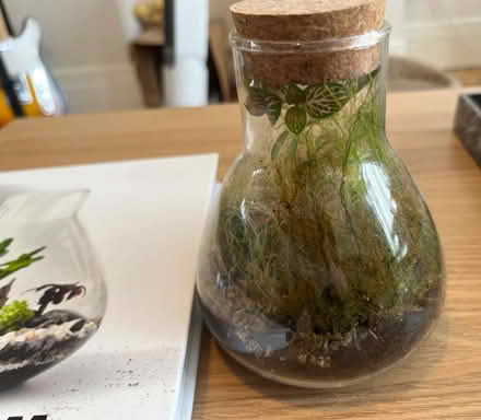Photo of free Small terrarium + book (New Eltham SE9) #4
