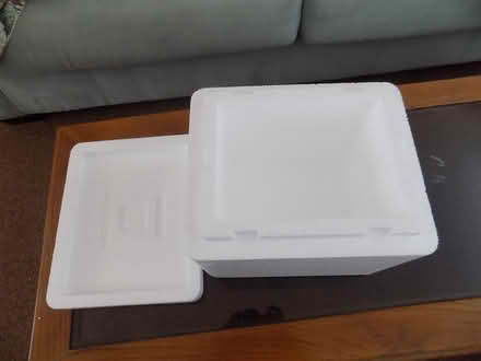 Photo of free Small coolers with box & ice packs (Ruskin) #4